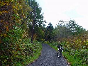 ������ѓ�6�^ORR