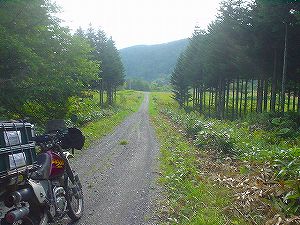 �y�����u�ѓ�6�^ORR