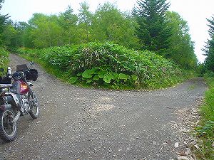 �����ѓ�3�^ORR