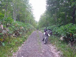 �����ѓ�4�^ORR