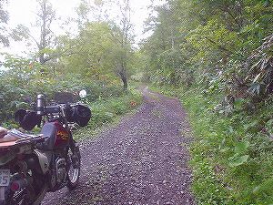 �����ѓ�6�^ORR