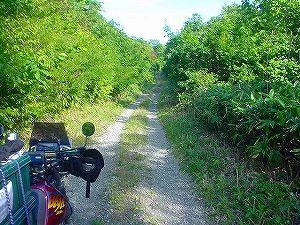 �n�r�E�ѓ�3�^ORR