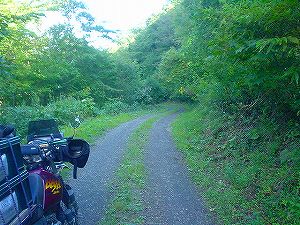 �n�r�E�ѓ�4�^ORR