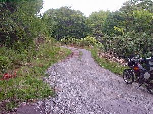 �瑖�ѓ�2�^ORR