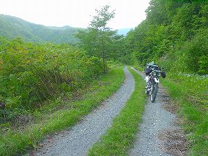 �瑖�ѓ�3�^ORR