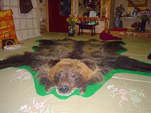 �瑖�ѓ�7�^ORR