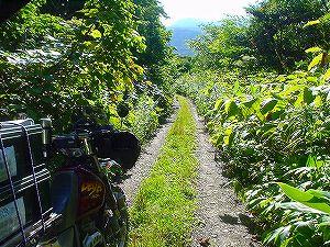 ��V�����ʗѓ�2�^ORR