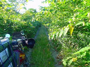 ��V�����ʗѓ�3�^ORR