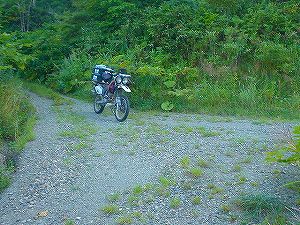 ��V�����ʗѓ�4�^ORR