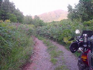 ��V�����ʗѓ�5�^ORR