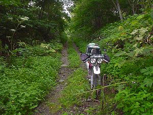 ��V�����ʗѓ�6�^ORR