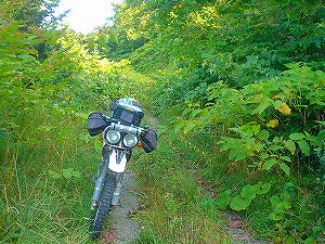 �㏕�ѓ�2�^ORR