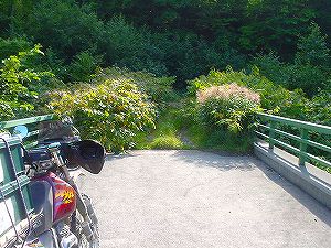 �㏕�ѓ�3�^ORR