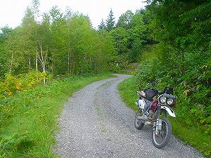 �����ѓ�3�^ORR