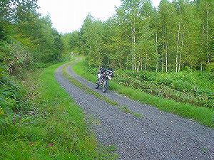 �����ѓ�4�^ORR