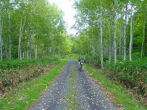 �����ѓ�5�^ORR