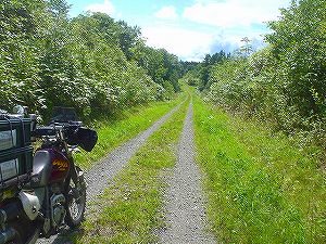 �����͎��ѓ�6�^ORR