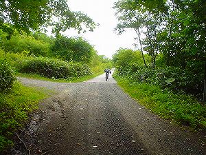 �^�����V�ѓ�1�^ORR