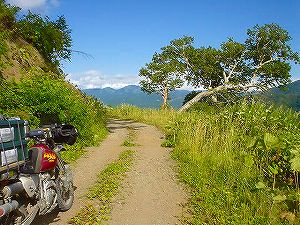 �^�����V�ѓ�5�^ORR