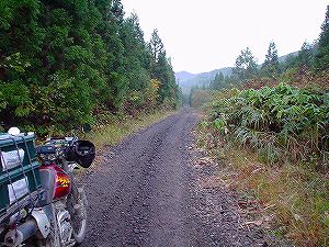 �����ڔ���ѓ�