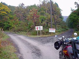 �����ڔ���ѓ�