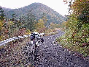 �����ڔ���ѓ�