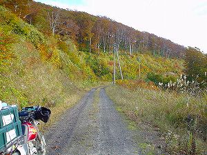 �����ڔ���ѓ�