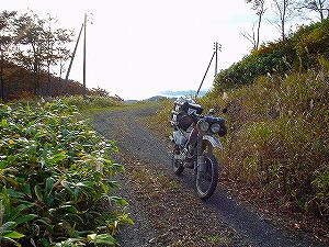 �����ڔ���ѓ�