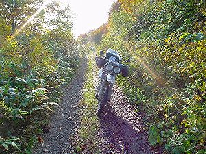 �����ڔ���ѓ�