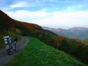 �����ڔ���ѓ�