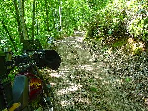 �q�쓹�H4�^ORR