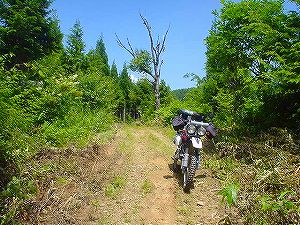 �q�쓹�H5�^ORR