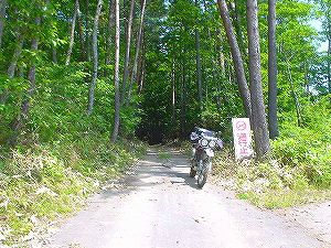 �q�쓹�H6�^ORR