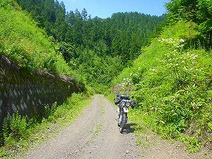 �ʋg�ѓ�6�^ORR