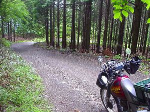 �|�m��ѓ�6�^ORR