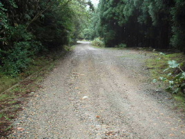 ��F��R�ѓ�