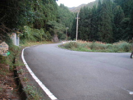 ����V�c�ѓ�