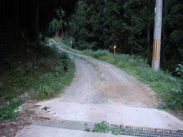 ����V�c�ѓ�