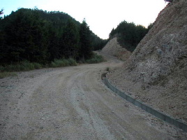 ����V�c�ѓ�