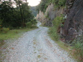 ����V�c�ѓ�