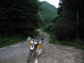 ����V�c�ѓ�