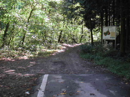 �������ؗѓ�