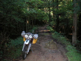 �������ؗѓ�