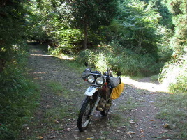 �������ؗѓ�