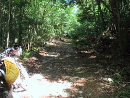 �������ؗѓ�