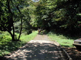 �������ؗѓ�