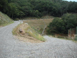 �����Ȍ�������