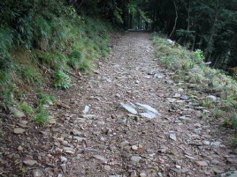 �����Ȍ�������