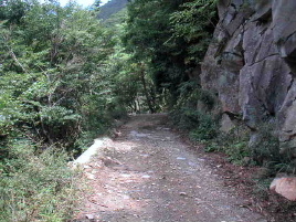 �����Ȍ�������