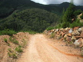 �����Ȍ�������